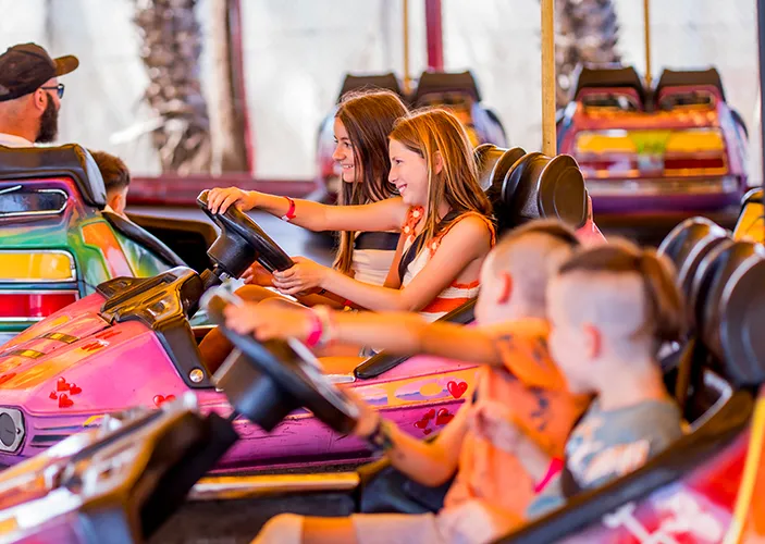 Bumper Cars