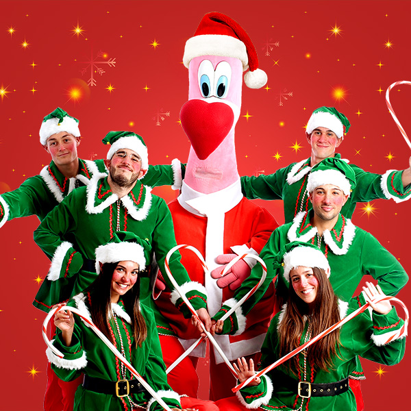 Crise de Noël – Oh non !