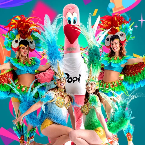 Samba Me Flamingo!